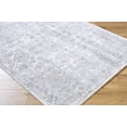 thumbnail image 1 of Boutique Rugs Bimala Traditional Area Rug - Light Gray, Cream, Tan - 2' x 2'11", 1 of 7