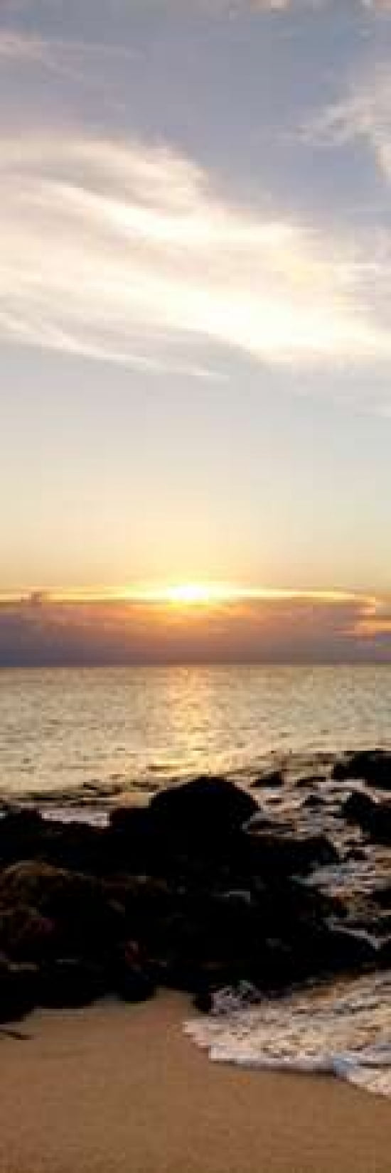Bimini Afternoon I Canvas Art - Susan Bryant (12 x 36)
