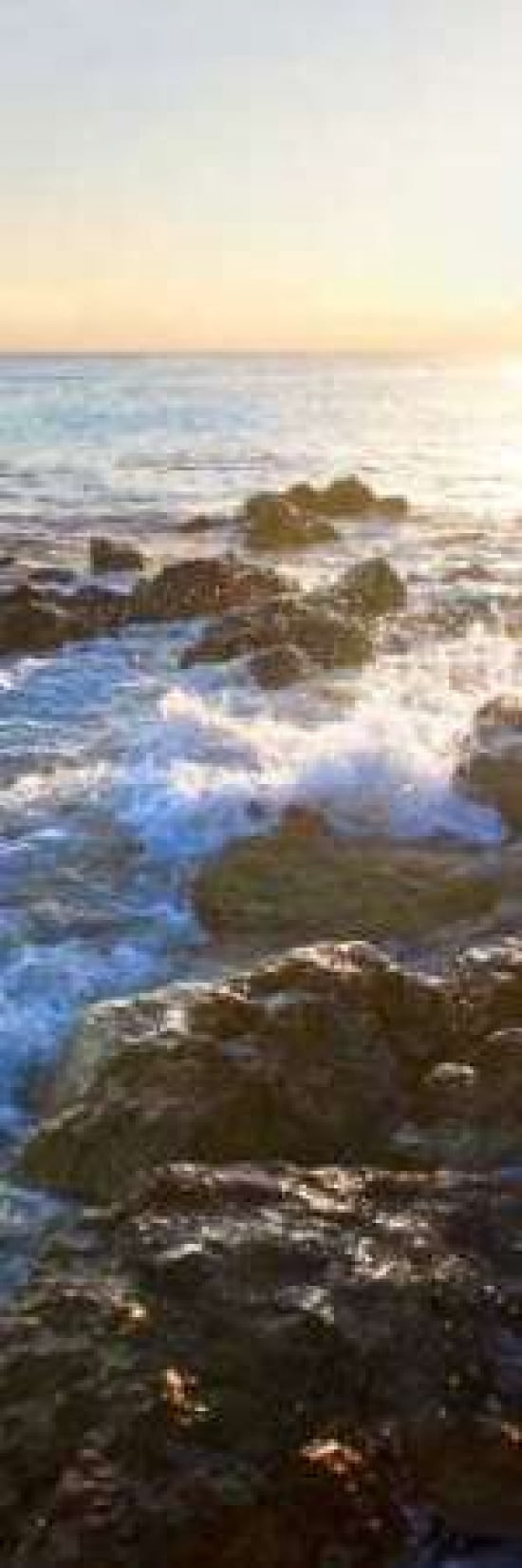 Bimini Coastline II Canvas Art - Susan Bryant (8 x 24)