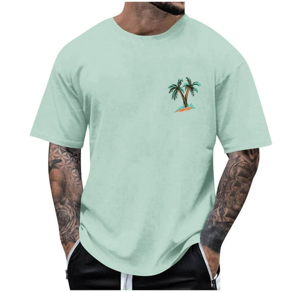 BinBiL Mens Casual Shirts Short Sleeve Round Neck Pullover Tee Shirt Plus Size Fashion Printed Loose Comfy Cotton Tops Mint Green XL(XL)