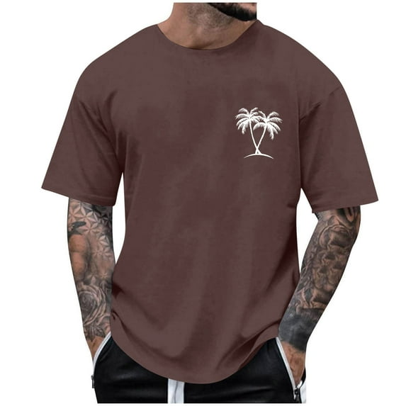 BinBiL Mens Short Sleeve Casual T-Shirts Round Neck Summer Fashion Graphic Shirts Loose Fit Athletic Quick Dry Active Shirts Brown M(M)