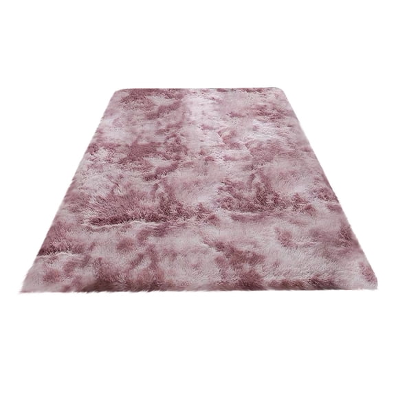 BinKFF Area Rugs for Living Room Bedroom, Machine Washable 15.7x23.6inchs Soft Fluffy Shaggy Bedside Rug, Indoor Floor Carpet for Kids Girls and Boys, Dorms, Nursery Rooms