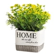 thumbnail image 1 of BinKFF Fake Plants Small, Ball Flower for Bathroom Shelf Decor, Decorative Plants for Home Living Room Office Bedroom Table Tray Shelve Farmhouse Decor Indoor, 1 of 8