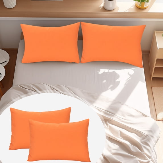 BinKFF Zippered Pillowcases, 2 Pack Microfiber Queen Pillow Cases, Super Soft Pillowcases with Envelope Closure, Wrinkle, Fade and Stain Resistant Pillow Covers, 19.3x14.2