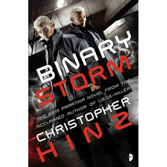 Binary Storm (Paperback)
