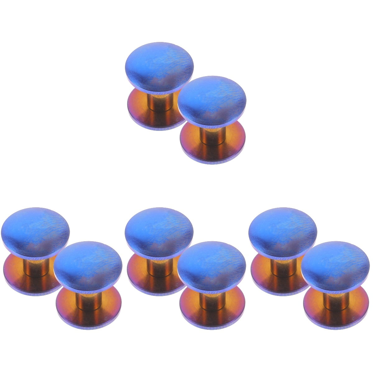 Binding Barrels and Screws Chicago for Leather 8 Pcs Titanium Belt