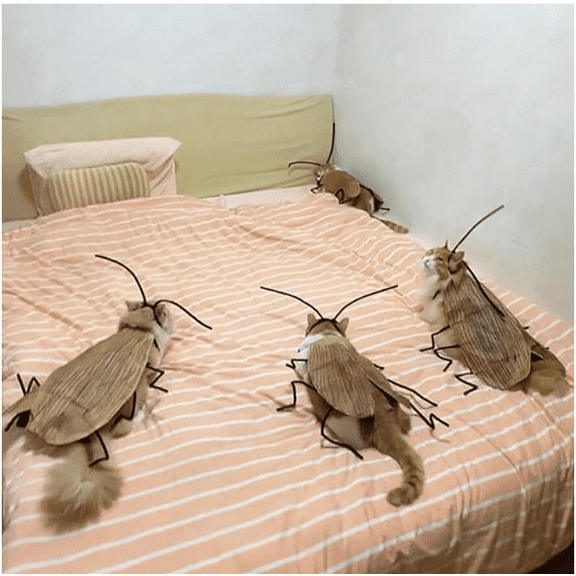 BingTong Cat Cockroach Clothing DIY Kit, Funny Kitten Cape Craft Set, Dress Up Halloween Party Decoration For Cat and Small Dog (Material Package) 1pcs color