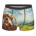 thumbnail image 1 of Bingfone Adorable Puppy Basket Men's Underwear - Casual Stretch Boxer Briefs-X-Large, 1 of 7