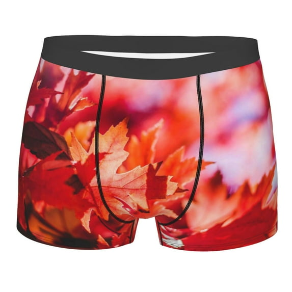 Bingfone Autumn Maple Leaves Men'S Underwear - Casual Stretch Boxer Briefs-Xx-Large