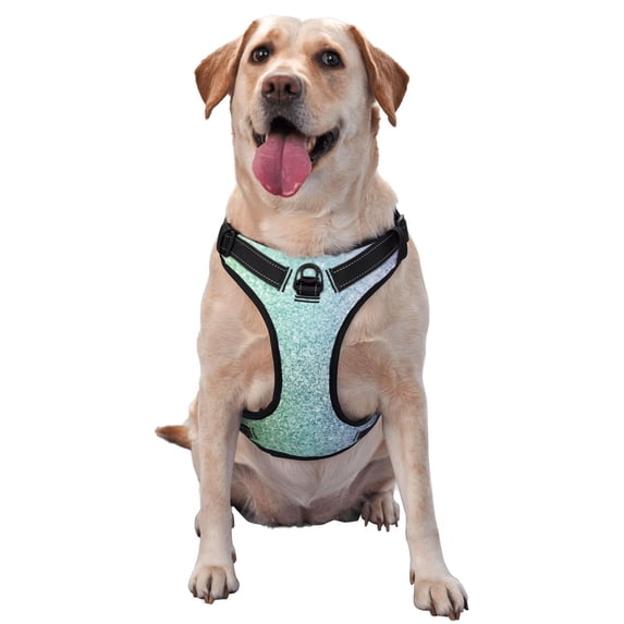 Bingfone Beautiful Glitter No Pull Dog Vest Harness For Small Medium Large Dogs Strap For Puppy Walking,Training,Dog Harness-Small