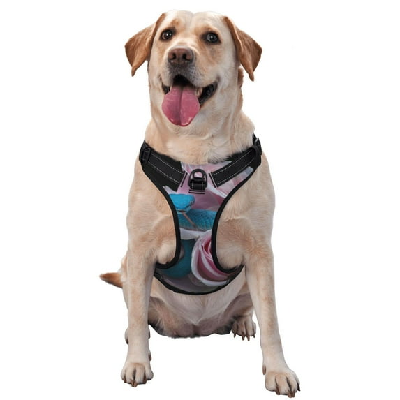 Bingfone Blue Lipped Pit Viper And Three Pink Roses No Pull Dog Vest Harness for Small Medium Large Dogs Strap for Puppy Walking,Training,Dog Harness-Large