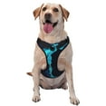 thumbnail image 1 of Bingfone Blue Marble And Gold No Pull Dog Vest Harness For Small Medium Large Dogs Strap For Puppy Walking,Training,Dog Harness-Small, 1 of 9