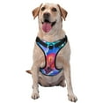 thumbnail image 1 of Bingfone Bright Flowers No Pull Dog Vest Harness For Small Medium Large Dogs Strap For Puppy Walking,Training,Dog Harness-Medium, 1 of 9