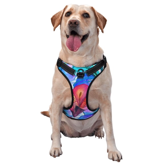 Bingfone Bright Flowers No Pull Dog Vest Harness For Small Medium Large Dogs Strap For Puppy Walking,Training,Dog Harness-Medium