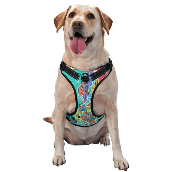 Bingfone Cartoon Map Of Europe No Pull Dog Vest Harness For Small Medium Large Dogs Strap For Puppy Walking,Training,Dog Harness-Large