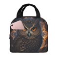 thumbnail image 1 of Bingfone Classical Style Brown Owl Print Lunch Bag Insulated Lunch Box, Small Leakproof Cooler Food Lunch Containers Reusable High Capacity Lunch Tote Bags for Work, Travel, Outdoor, 1 of 5