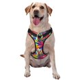 thumbnail image 1 of Bingfone Colorful Bananas No Pull Dog Vest Harness for Small Medium Large Dogs Strap for Puppy Walking,Training,Dog Harness-Medium, 1 of 7