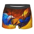 thumbnail image 1 of Bingfone Colorful Rooster Men'S Underwear - Casual Stretch Boxer Briefs-X-Large, 1 of 9