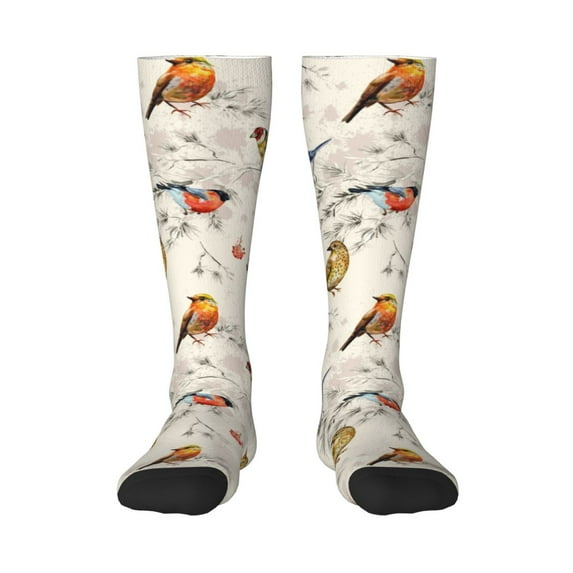 Bingfone Compression Socks For Women And Men Long Socks For Running Athletic Cycling Nurse-Little Birds