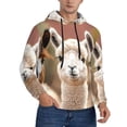 thumbnail image 1 of Bingfone Cute Alpaca in Daze Men's Drawstring Hoodie Long Sleeve Pocket Sweatshirts-Small, 1 of 6