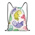 thumbnail image 1 of Bingfone Cute Chameleons Drawstrings Backpacks Bags For Men Women Gym Drawstrings Bag, 1 of 9