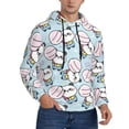 thumbnail image 1 of Bingfone Cute Panda Bear Men's Drawstring Hoodie Long Sleeve Pocket Sweatshirts-Large, 1 of 6
