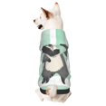 thumbnail image 1 of Bingfone Cute Raccoon Dog Clothes Hoodie, Pet Winter Coat,Puppy Sweatshirts For Small Dogs Boy Girl,Suitable For All Breeds-Medium, 1 of 9