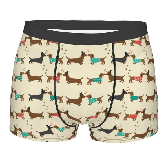 Bingfone Dachshund Dog Men's Underwear - Casual Stretch Boxer Briefs-X-Large