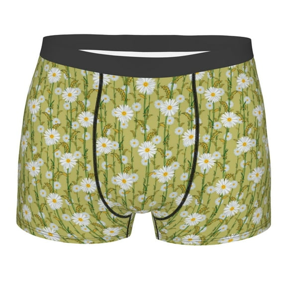Bingfone Daisies Flowers Men's Underwear - Casual Stretch Boxer Briefs-Large