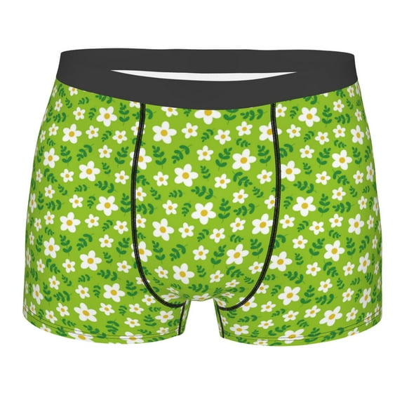 Bingfone Daisies Flowers Men's Underwear - Casual Stretch Boxer Briefs-Large