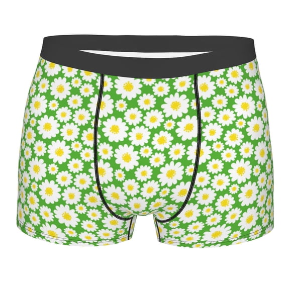 Bingfone Daisies Flowers Men's Underwear - Casual Stretch Boxer Briefs-Small