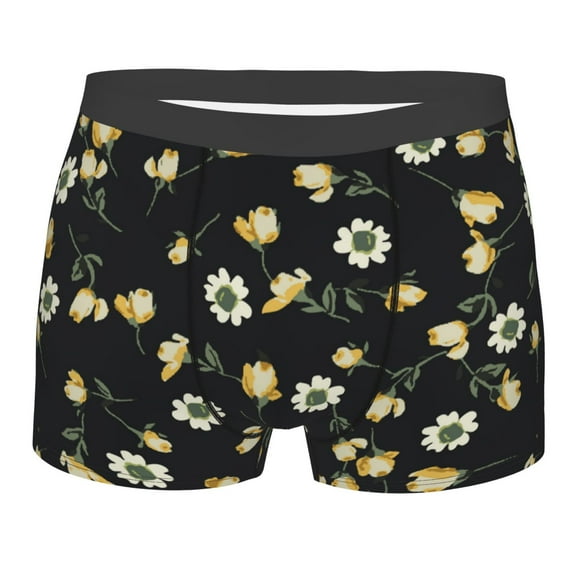 Bingfone Daisy Men's Underwear - Casual Stretch Boxer Briefs-XX-Large