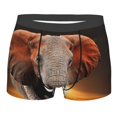 thumbnail image 1 of Bingfone Elephant Sunset In Kenya Men'S Underwear - Casual Stretch Boxer Briefs-Medium, 1 of 9