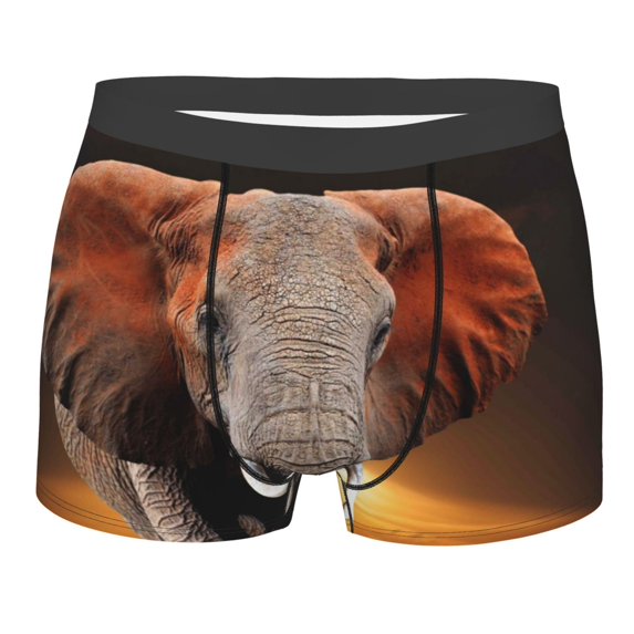 Bingfone Elephant Sunset In Kenya Men'S Underwear - Casual Stretch Boxer Briefs-Medium