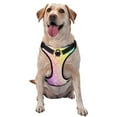 thumbnail image 1 of Bingfone Fish Scale No Pull Dog Vest Harness For Small Medium Large Dogs Strap For Puppy Walking,Training,Dog Harness-X-Large, 1 of 9