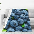 thumbnail image 1 of Bingfone Fresh Blueberries Print Flannel Fleece Blanket Throw Blanket for Bed,Sofa,Couch,Travel,Camping(50"x40" ), 1 of 8