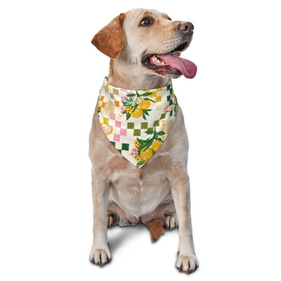 Bingfone Fruit-Washable Dog Scarf Triangle Adjustable Puppy Bandana Bib Handkerchief For Medium Large Dog Cat