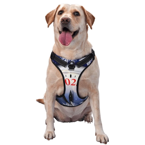 Bingfone Gold Glitter Shining In Light With 2025 No Pull Dog Vest Harness for Small Medium Large Dogs Strap for Puppy Walking,Training,Dog Harness-Large