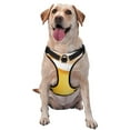 Bingfone Golden Beer No Pull Dog Vest Harness for Small Medium Large
