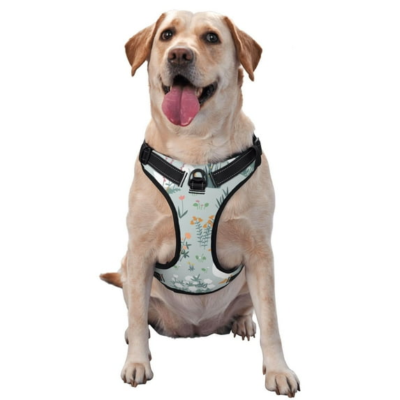 Bingfone Goose And Doodle Flowers No Pull Dog Vest Harness For Small Medium Large Dogs Strap For Puppy Walking,Training,Dog Harness-Small