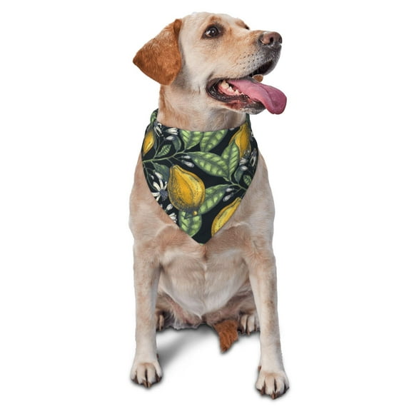 Bingfone Hand Drawn Citrus Fruits Elegant Lemons-Washable Dog Scarf Triangle Adjustable Puppy Bandana Bib Handkerchief For Medium Large Dog Cat