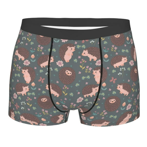 Bingfone Hedgehogs and Flowers1 Men's Underwear - Casual Stretch Boxer Briefs-Large