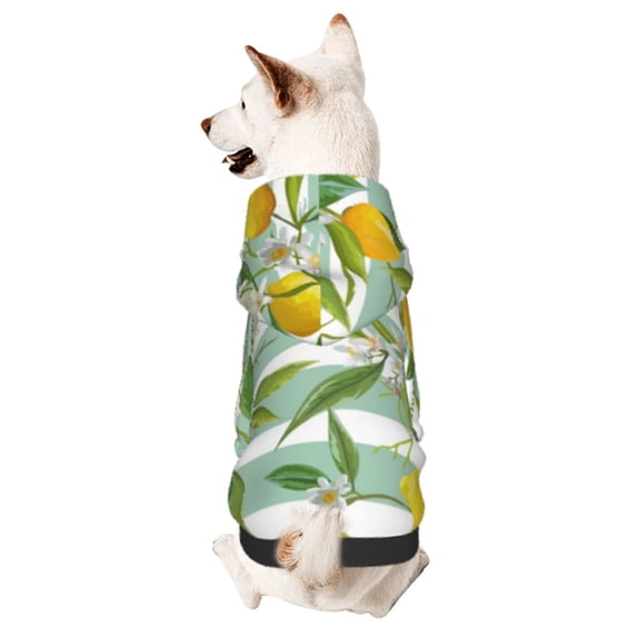 Bingfone Lemon Dog Clothes Hoodie, Pet Winter Coat,Puppy Sweatshirts For Small Dogs Boy Girl,Suitable For All Breeds-Medium