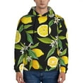 thumbnail image 1 of Bingfone Lemon Fruits Flowers Leaves Men'S Drawstring Hoodie Long Sleeve Pocket Sweatshirts-Xx-Large, 1 of 9