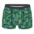 thumbnail image 1 of Bingfone Monstera Leaves Men'S Underwear - Casual Stretch Boxer Briefs-Small, 1 of 9