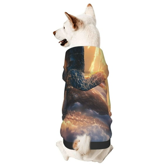 Bingfone Mythical Serpent Mountain Sunrise Dog Clothes Hoodie, Pet Winter Coat,Puppy Sweatshirts for Small Dogs Boy Girl,Suitable for All Breeds-Small