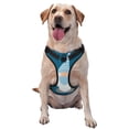 thumbnail image 1 of Bingfone Nurse Doctor Gnomes No Pull Dog Vest Harness for Small Medium Large Dogs Strap for Puppy Walking,Training,Dog Harness-Medium, 1 of 7