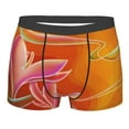 thumbnail image 1 of Bingfone Orange Flower Psychedelic Men'S Underwear - Casual Stretch Boxer Briefs-Large, 1 of 9