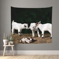 thumbnail image 1 of Bingfone Polyester Fabric Tapestry Cute Goat Baby Wall Hanging Tapestry,Daily Decorative Tapestry For Bedroom Living Room Dorm 60l X 51w Inches, 1 of 9