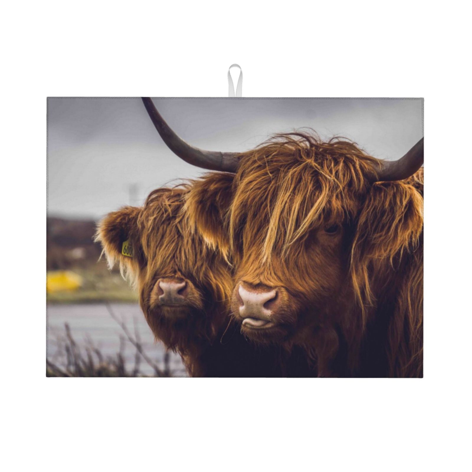 Bingfone Portrait Of Highland Cow With Its Baby Cow ,18